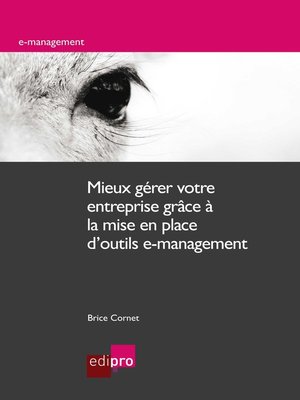 cover image of Mieux gérer votre entreprise grâce à la mise en place d'outils e-management